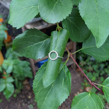 Load image into Gallery viewer, Fairy Ring
