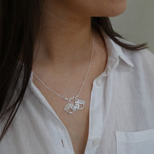 Load image into Gallery viewer, Lady Bird Necklace, Sterling Silver Friendship Necklace, Nature Lover Gift, Silver Lady Bug, Gift for Friends, Quirky Jewellery, Cute Best Friends Necklace Gift