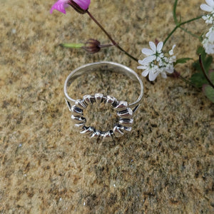 Fairy Fort Ring